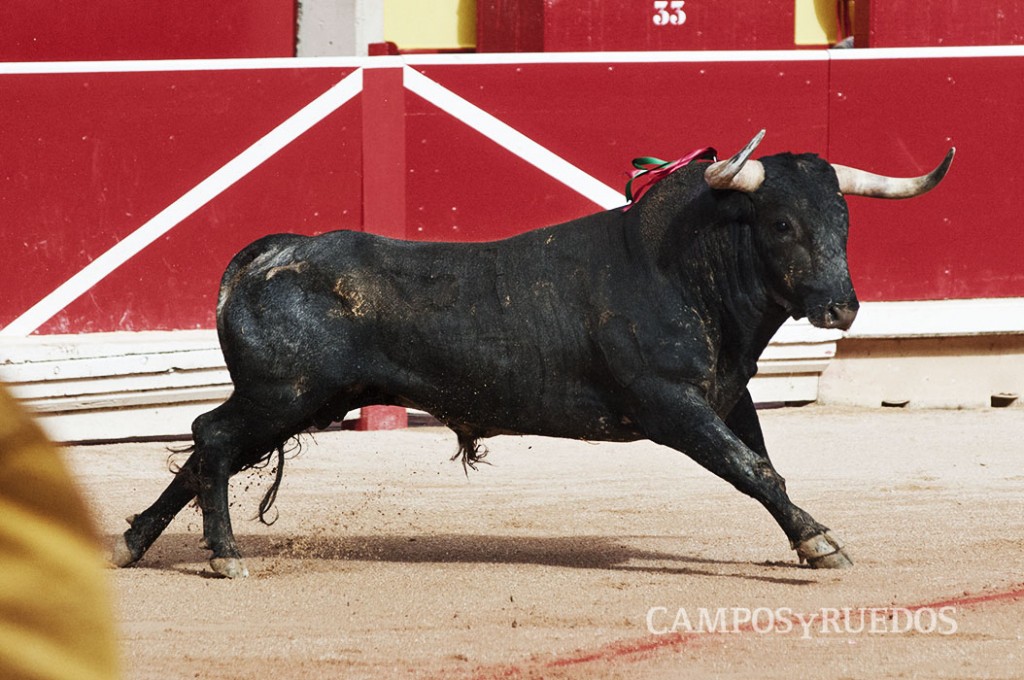 miurapamplona2014