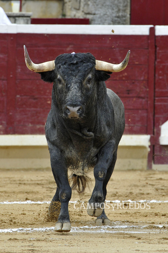 Morenosilva2015