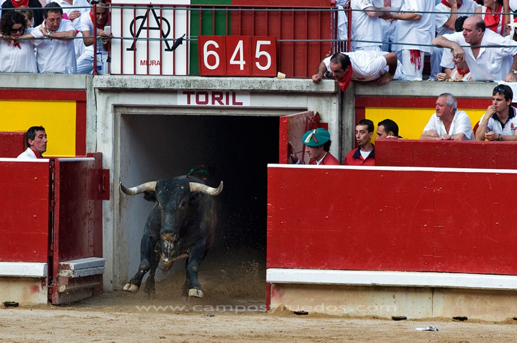 Miura pamplona